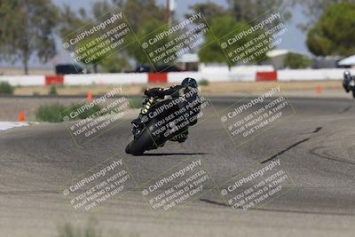 media/Sep-07-2025-Pacific Track Time (Sun) [[a6322260b9]]/A and B Group/Wheelie Bump A and B/